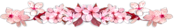 <img350*0:stuff/CherryBlossomsDivLg.png>