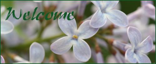 <img:stuff/Lilac_Welcome.jpg?y=205&x=500>