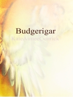 <img:stuff/kai_illust_budgerigar.jpg>