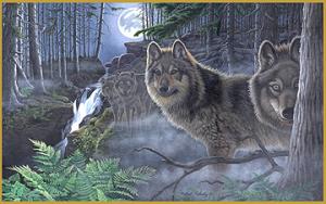 <img300*0:stuff/z/699/White_Wolf/i1200633256_10.jpg>