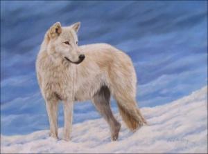 <img300*0:stuff/z/699/White_Wolf/i1200633256_11.jpg>