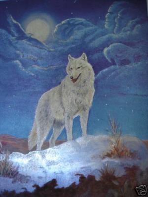 <img300*0:stuff/z/699/White_Wolf/i1200633256_12.jpg>
