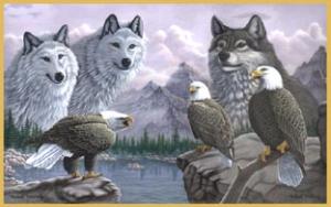 <img300*0:stuff/z/699/White_Wolf/i1200633256_19.jpg>