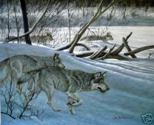 <img300*0:stuff/z/699/White_Wolf/i1200633256_2.jpg>