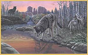 <img300*0:stuff/z/699/White_Wolf/i1200633256_25.jpg>