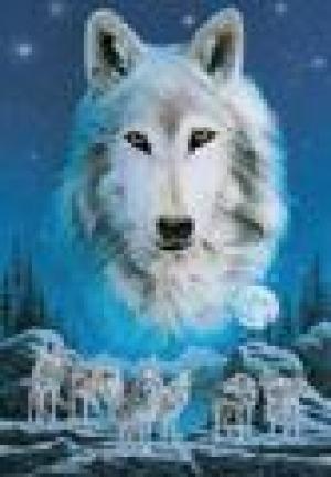 <img300*0:stuff/z/699/White_Wolf/i1200633256_37.jpg>