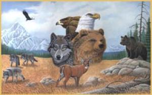 <img300*0:stuff/z/699/White_Wolf/i1200633256_39.jpg>