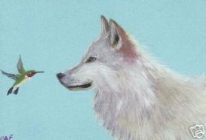<img300*0:stuff/z/699/White_Wolf/i1200633256_7.jpg>